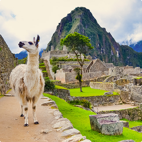 Интересные факты Перу